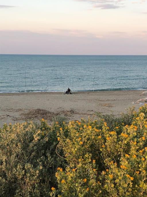 Logement Plage Saint-Cyprien (Pyrenees-Orientales) Exterior foto