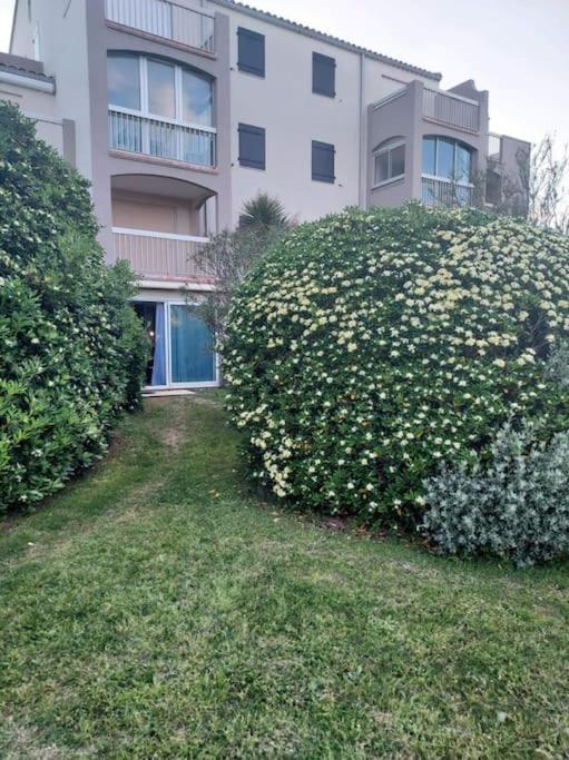 Logement Plage Saint-Cyprien (Pyrenees-Orientales) Exterior foto