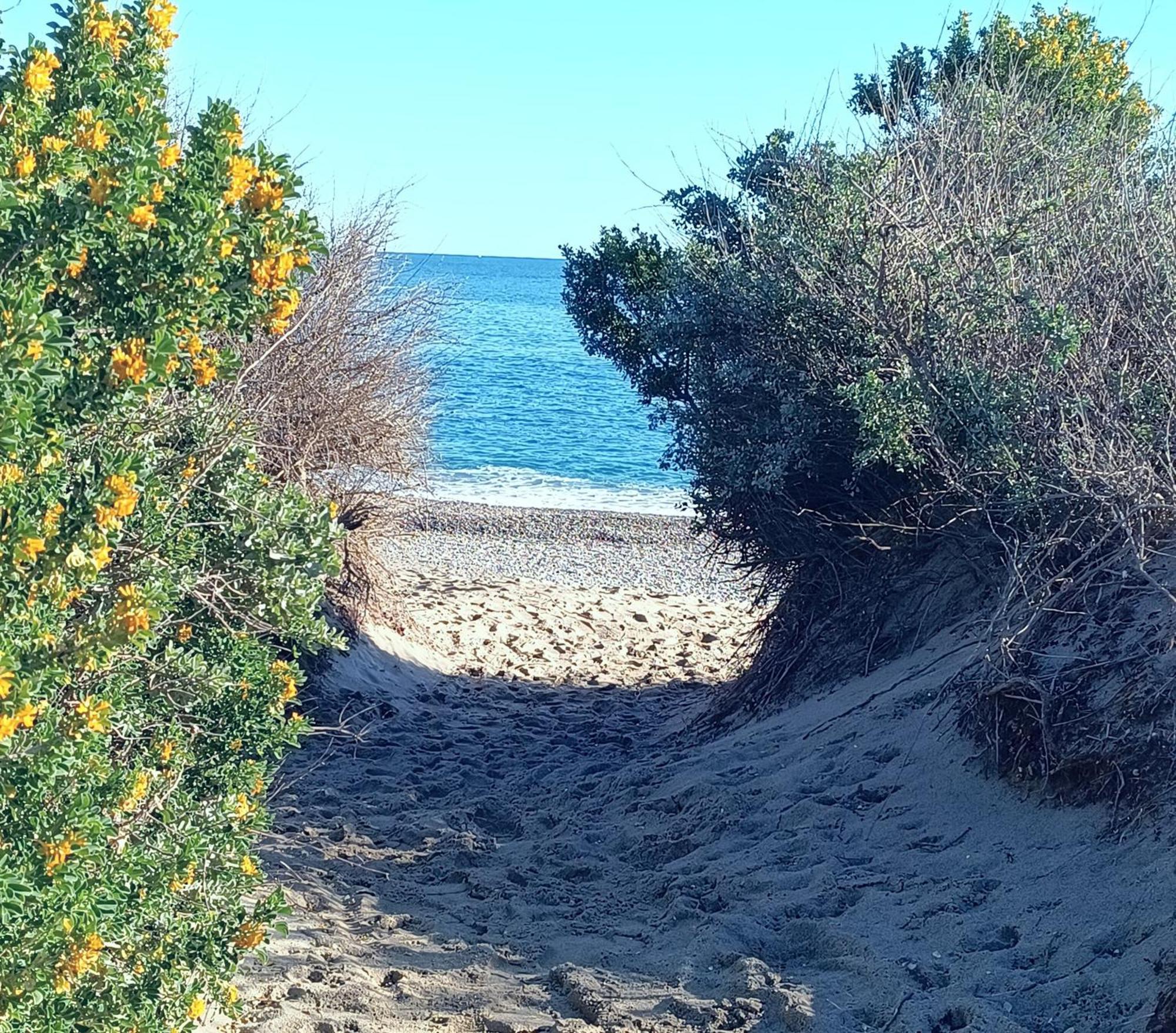 Logement Plage Saint-Cyprien (Pyrenees-Orientales) Exterior foto